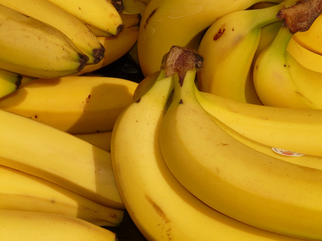 How to Follow The Banana Man’s Path to Success