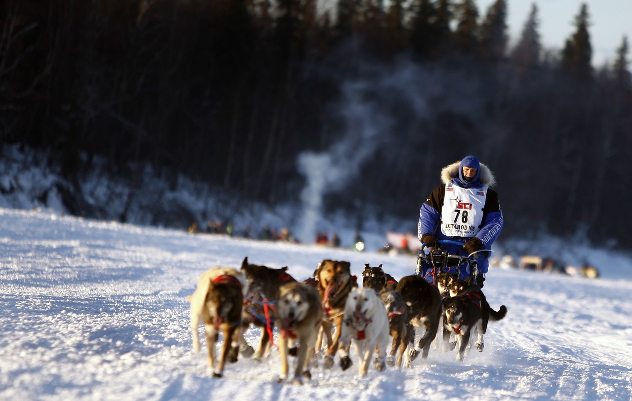 Finding Success at the End of a Dogsled